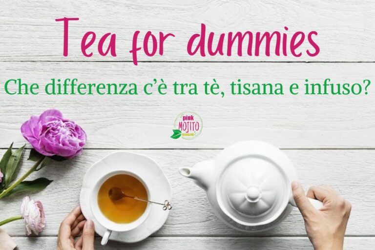 Differenza tra tè, tisana e infuso