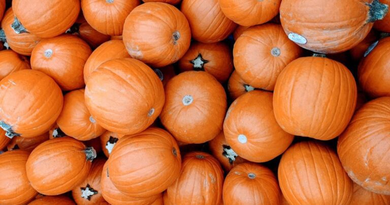 Ed è tornato settembre!